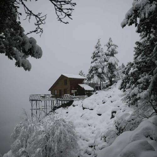 برای تو میمیرم به دامت اسیرم خاطر خوای چشم سیاتم تو خوبی تو ماهی